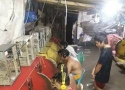 Enlace a Profesionalidad