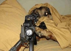 Enlace a Defendiendo el hogar