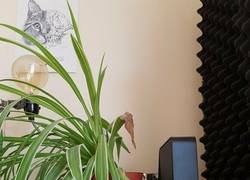 Enlace a Parece que al cuadro del fondo tampoco le gusta