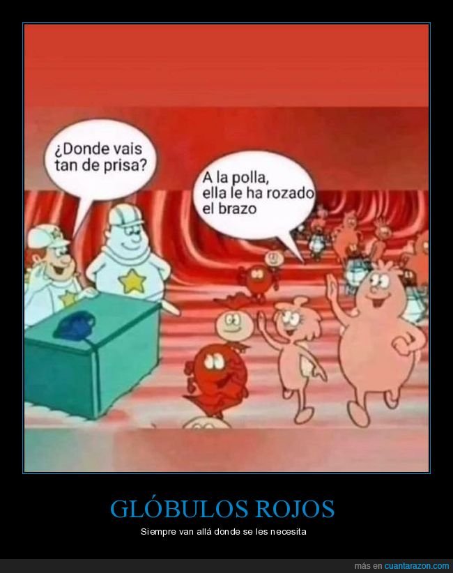 érase una vez el cuerpo humano,sangre,rozar,brazo