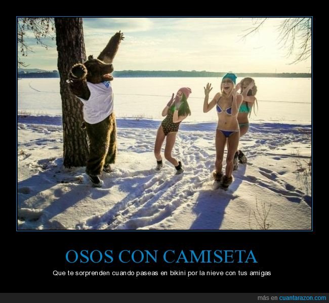 oso,disfraz,nieve,bikini