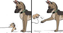 Enlace a Los cómics de Pixie y Brutus sacan una sonrisa a la gente sin importar qué tipo de día hayan tenido