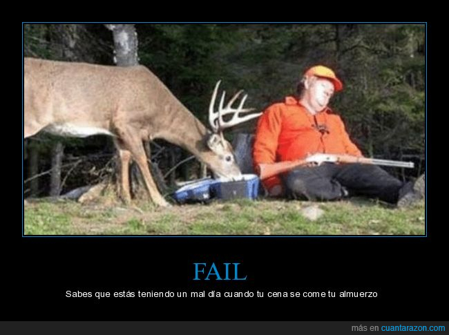cazador,durmiendo,ciervo,comiendo