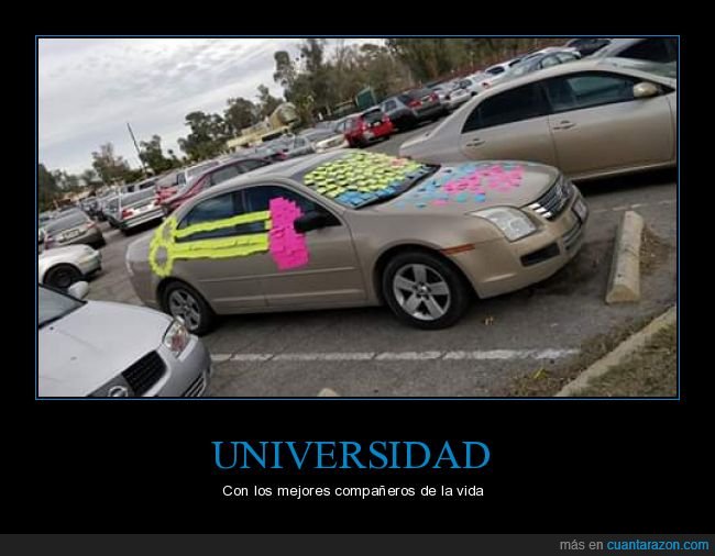 coche,post-its,trolling