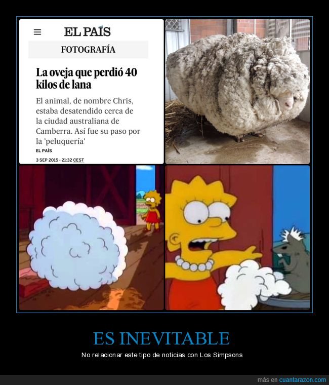 simpsons,lisa,rata,esquilar,oveja