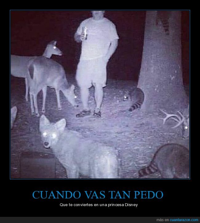 borracho,animales,princesa disney