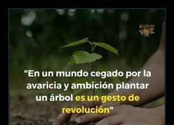 Enlace a La revolución verde