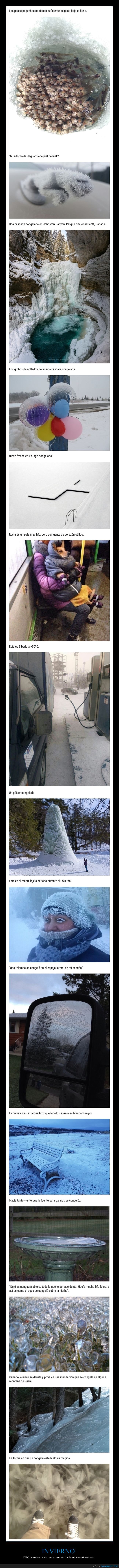 invierno,frío,hielo,nieve