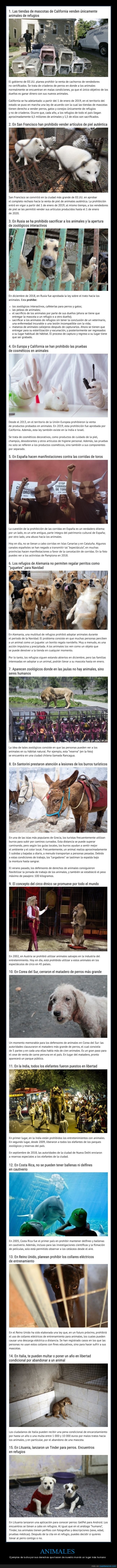 animales,derechos