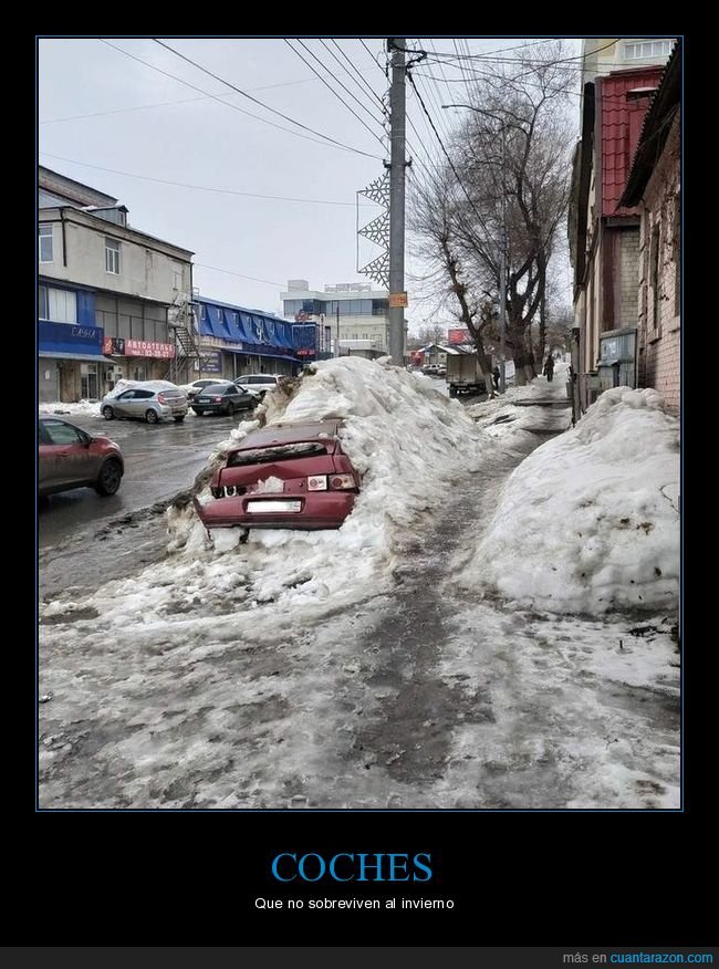 coche,nieve,fails