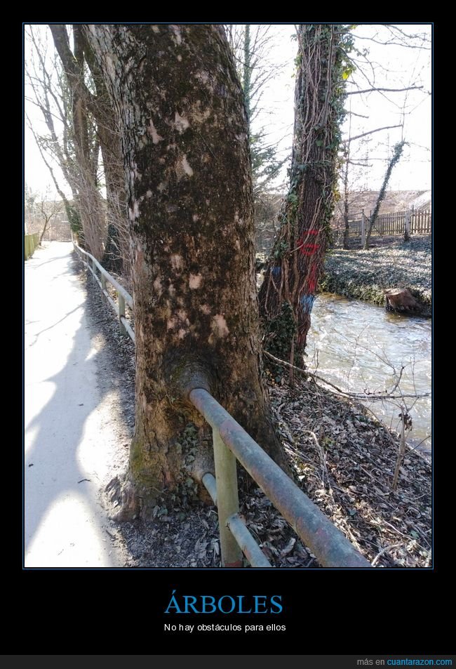 árbol,valla,obstáculos