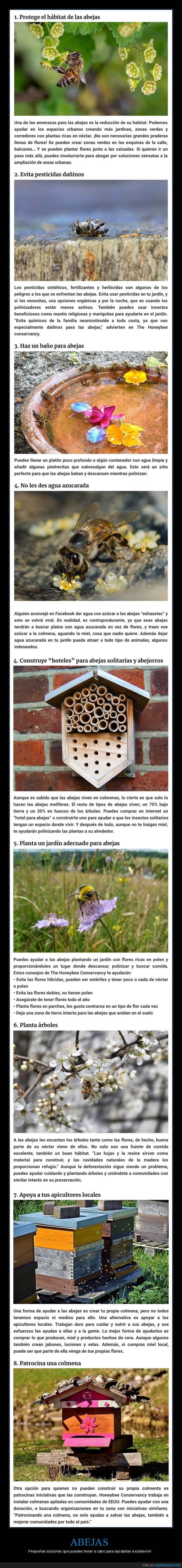 abejas,ayudar,sobrevivir