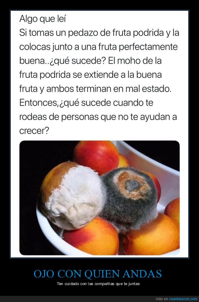 fruta,moho,amigos,crecer,malas compañías