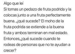 Enlace a Malas compañías