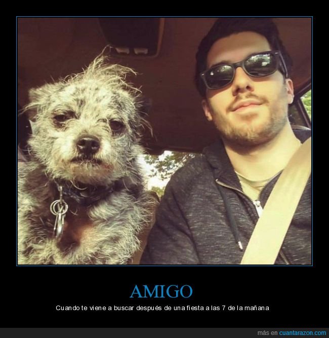 amigo,recoger,fiesta,perros