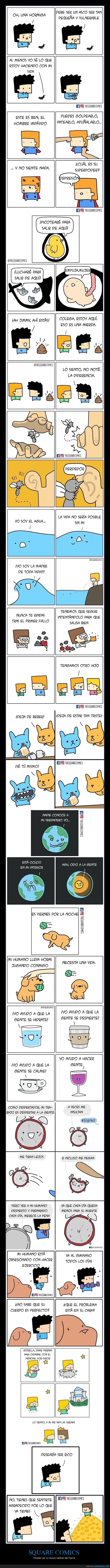 square comics,viñetas