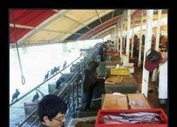Enlace a Todo normal por aquí