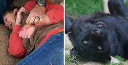 Enlace a Ella quería hacerse un selfie con un jaguar del zoo, pero él prefirió darle un autógrafo