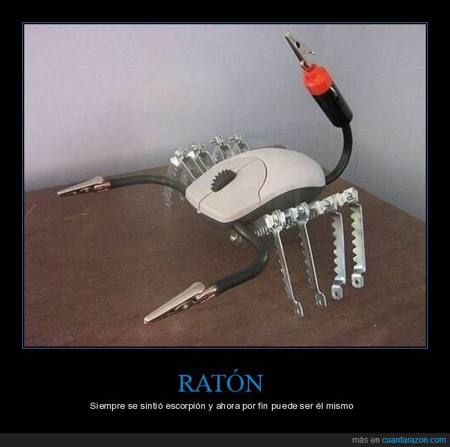 ratón,escorpión,wtf