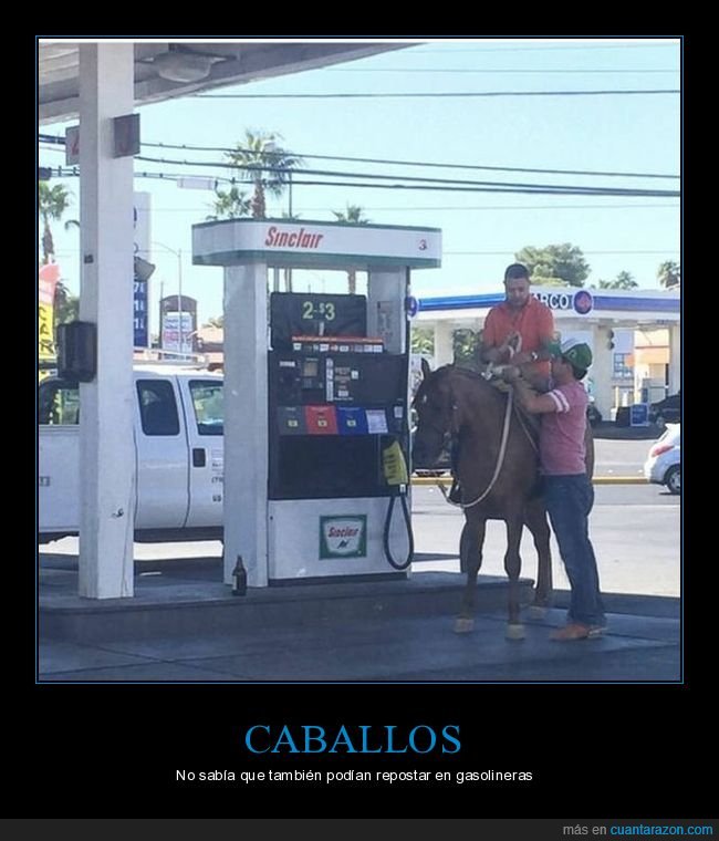 caballo,gasolinera,repostar