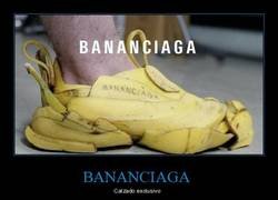 Enlace a 100% material orgánico reciclado