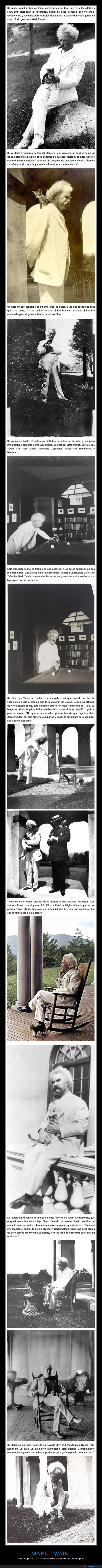 mark twain,gatos,curiosidades