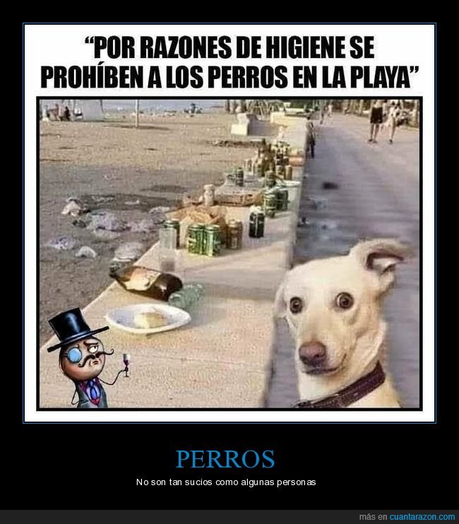 higiene,perro,perros,playa,basura