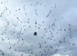 Enlace a Un gran día