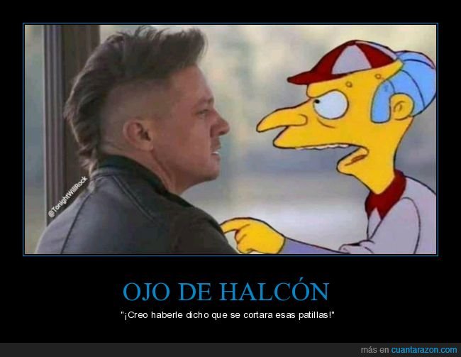 ojo de halcón,patillas,burns,simpsons