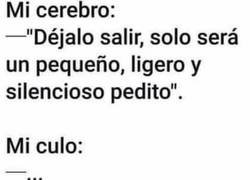 Enlace a El cuerpo humano es maravilloso