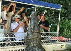 Enlace a Acercándose a saludar