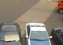 Enlace a ¿Y ahora qué?