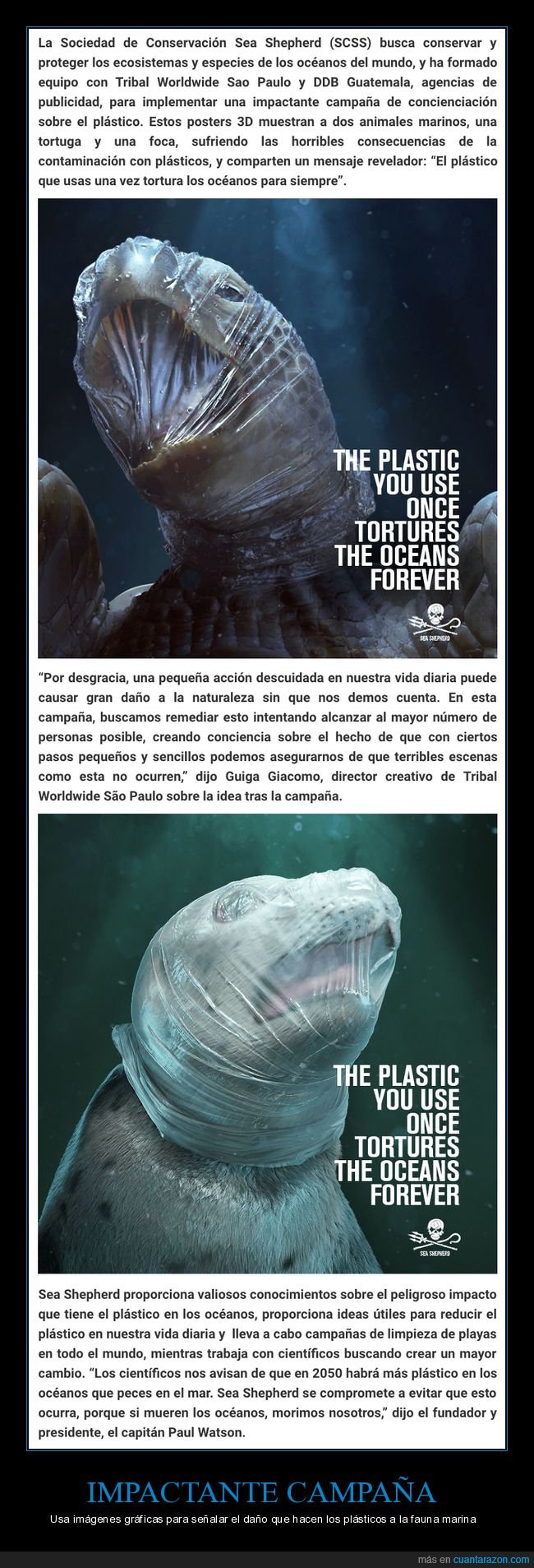 plástico,fauna marina,campaña publicitaria