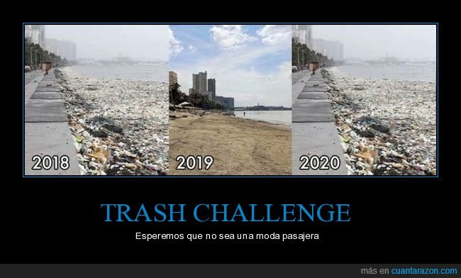 trash challenge,playa,basura