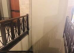 Enlace a Los muggles no pueden pasar