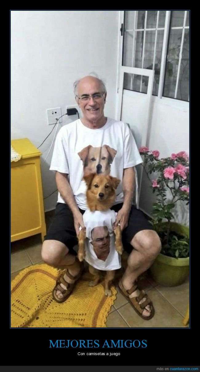 perros,camiseta,due&ntilde;o,cara