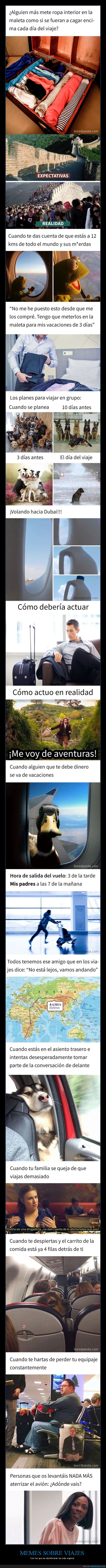memes,viajes,viajar