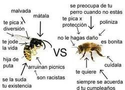 Enlace a Comparativa rigurosa