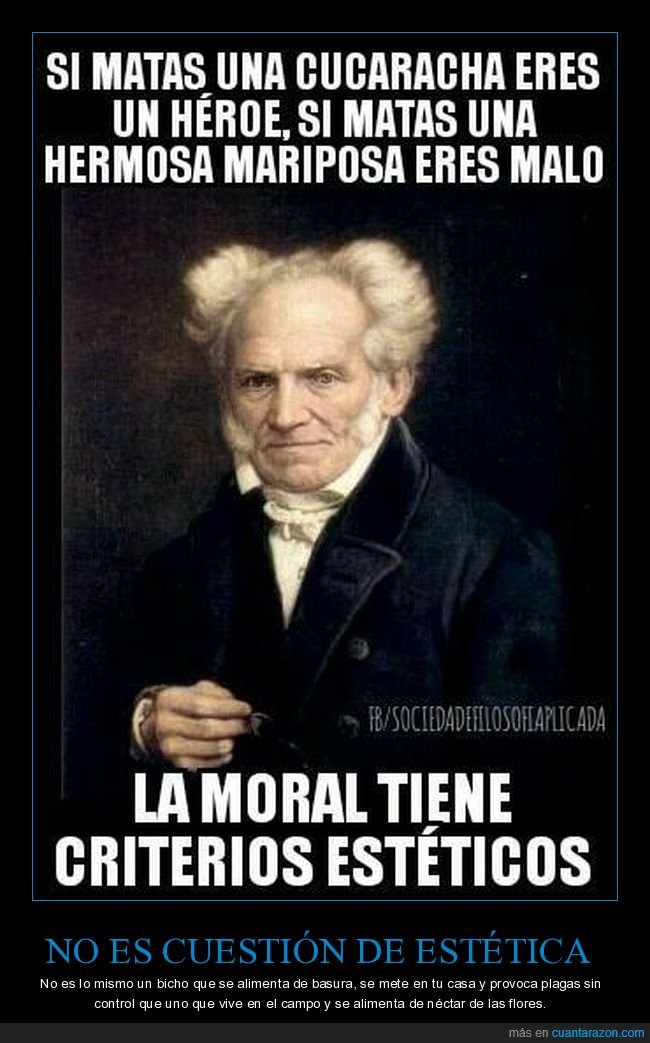 cucaracha,mariposa,héroe,malo,matar,moral,estética,schopenhauer