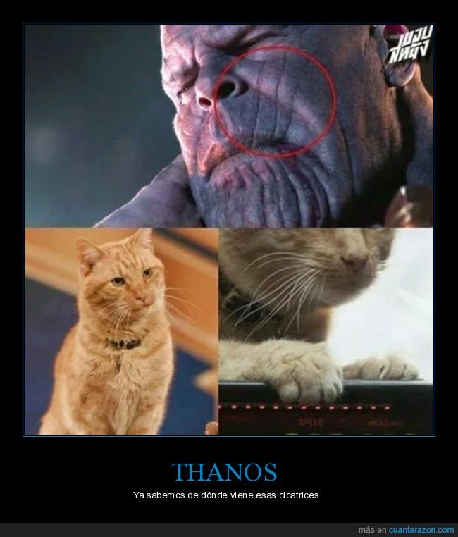 thanos,cicatrices,gatos,goose,capitana marvel