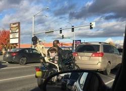 Enlace a Fiel compañero de viaje