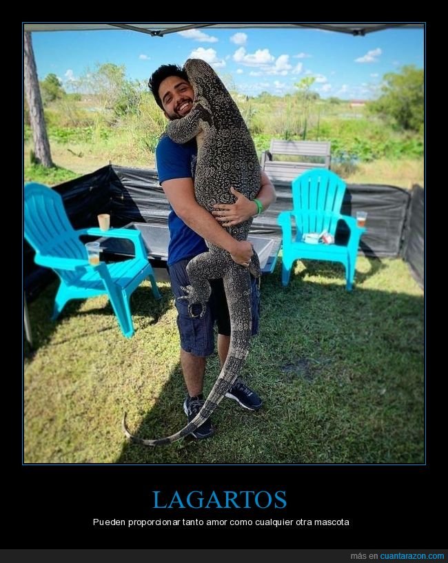 lagarto,gigante,wtf