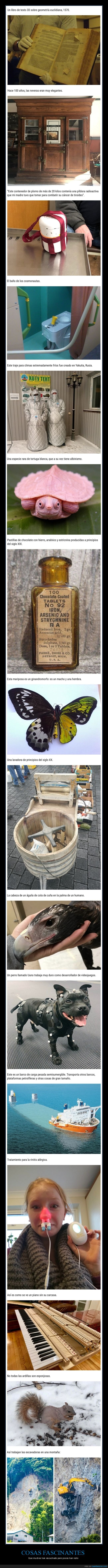 cosas fascinantes,curiosidades