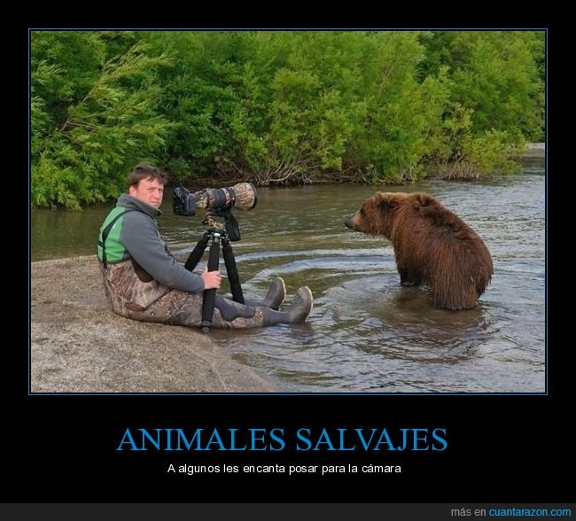 oso,fot&oacute;grafo