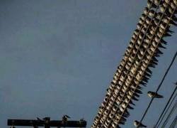 Enlace a Estas cosas me hacen recordar cierta película de Alfred Hitchcock