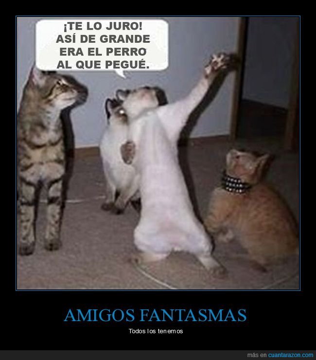 gatos,amigos,perro,grande,pegar