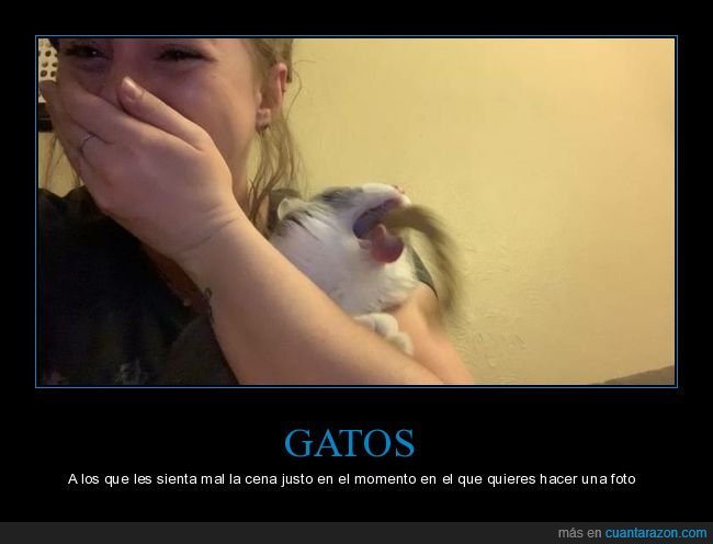 gato,vomitando,momento exacto