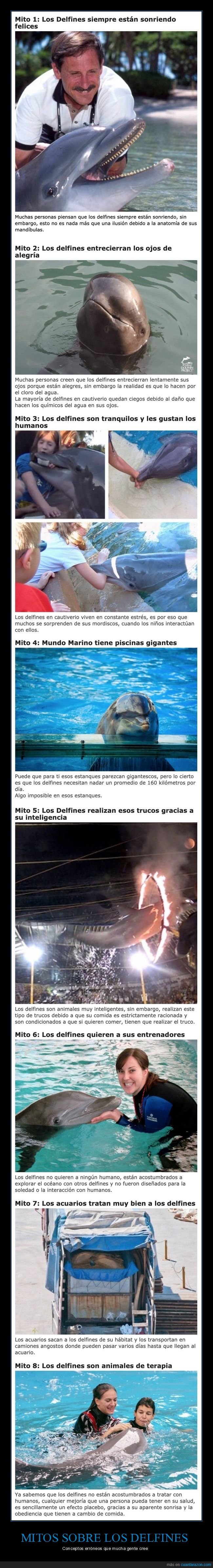 mitos,delfines