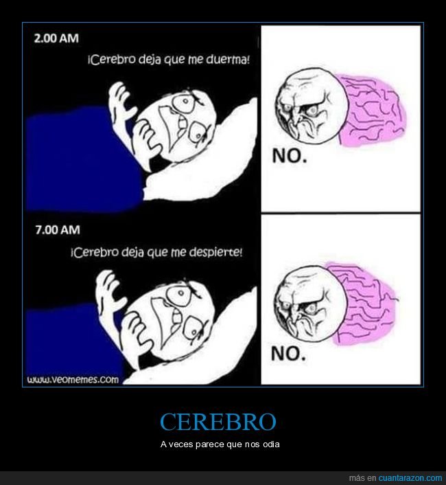 cerebro,dormir,despertar,no