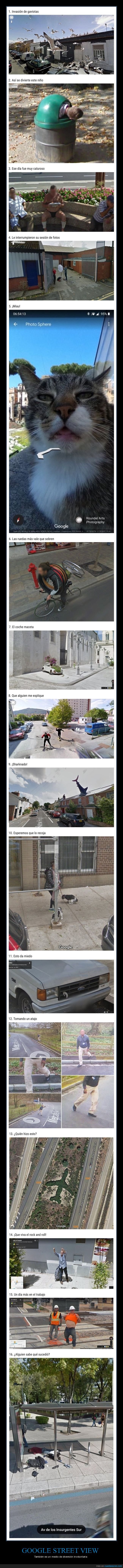 google,street view,wtf